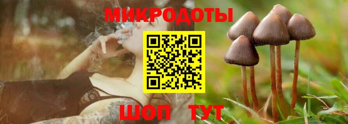 Галлюциногенные грибы GOLDEN TEACHER  Вход с VPN  Чехов 